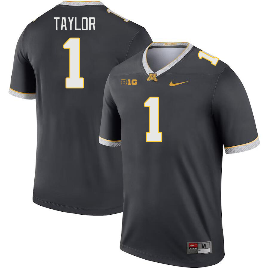 Men #1 Darius Taylor Minnesota Golden Gophers College Football Jerseys Stitched-Charcoal